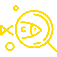 解决方案价值 - 检查养殖动物的生长情况：